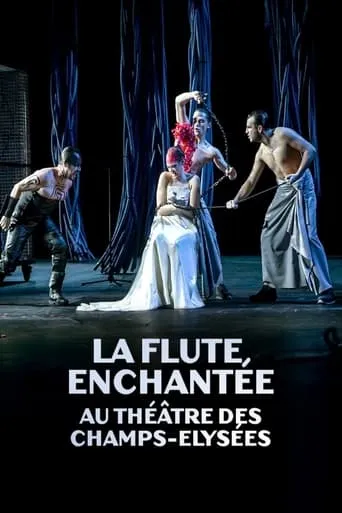 La flûte enchantée au Théâtre des Champs Elysées movie poster - Entertainment content
