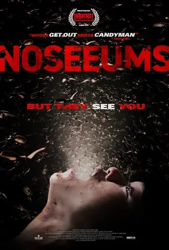 Noseeums movie poster - Entertainment content