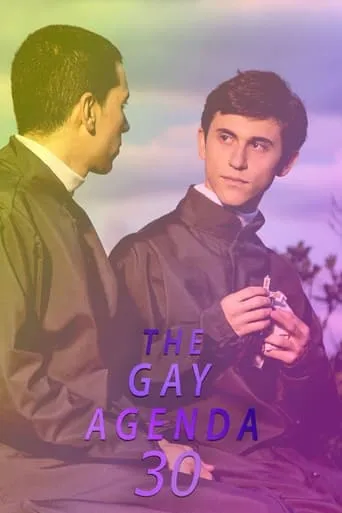 The Gay Agenda 30 movie poster - Entertainment content