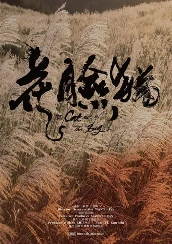 The Cat out of the Bag movie poster - Entertainment content