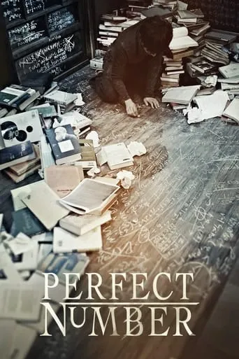 Perfect Number movie poster - Rated 6.6/10