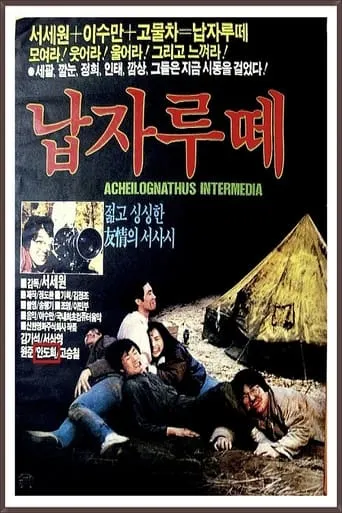 Napjarute movie poster - Entertainment content