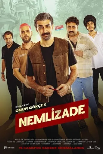 Nemlizade movie poster - Rated 6/10