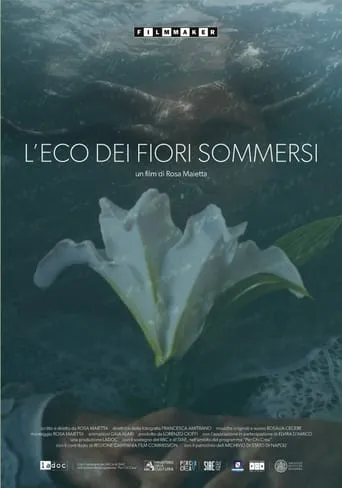 L'eco dei fiori sommersi movie poster - Entertainment content