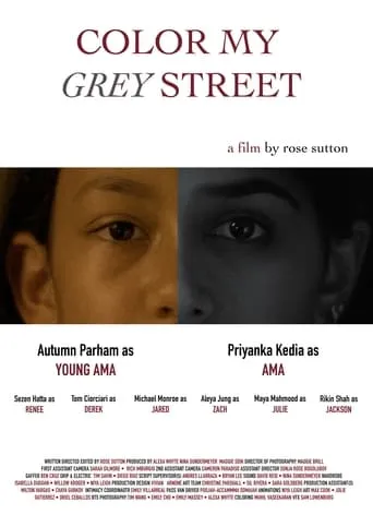Color My Grey Street movie poster - Entertainment content