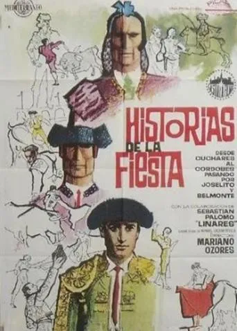 Historias de la fiesta movie poster - Entertainment content