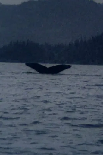 Whales movie poster - Entertainment content