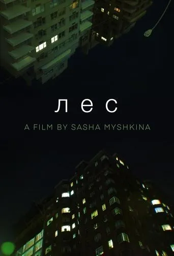 Forest movie poster - Entertainment content