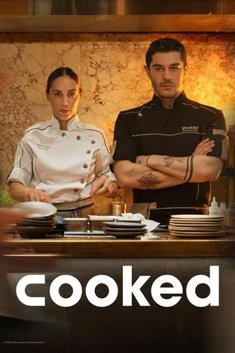 Cooked movie poster - Rated 6.4/10