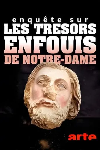 Enquête sur les trésors enfouis de Notre-Dame de Paris movie poster - Rated 7.5/10