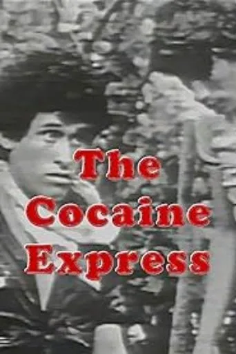The Cocaine Express movie poster - Entertainment content