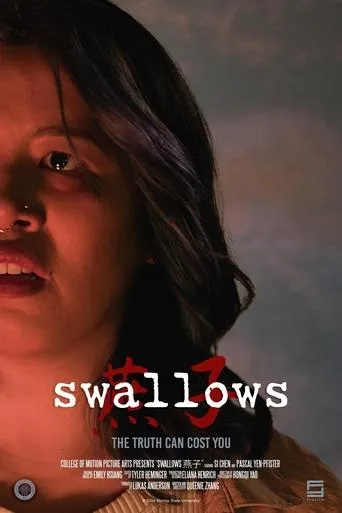 swallows燕子 movie poster - Entertainment content