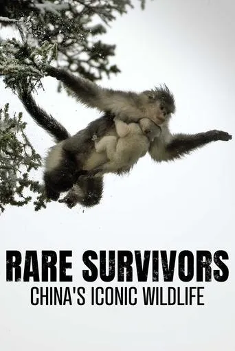 Rare Survivors: China's Iconic Wildlife movie poster - Entertainment content