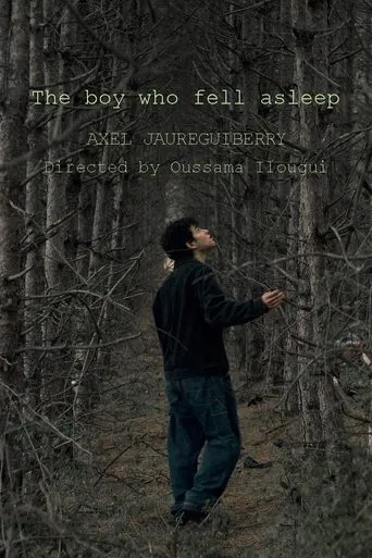 The boy who fell asleep movie poster - Entertainment content