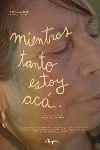 Mientras tanto estoy acá movie poster - Entertainment content