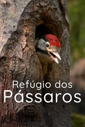 Refúgio dos Pássaros movie poster - Rated 5/10