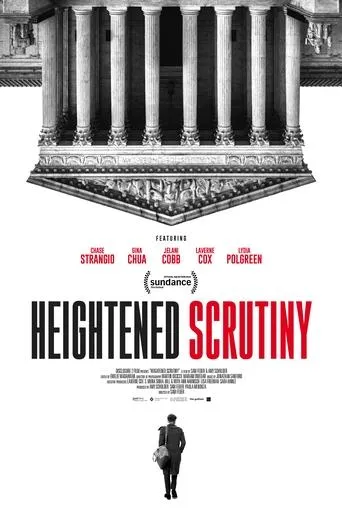 Heightened Scrutiny movie poster - Rated 8/10