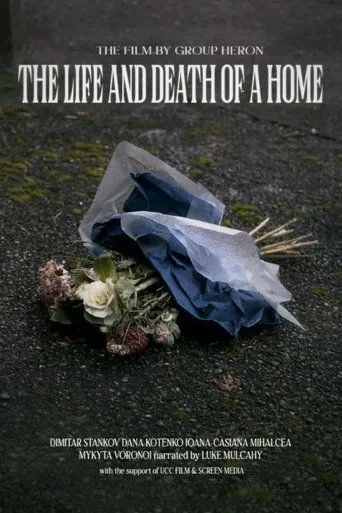 The Life and Death of a Home movie poster - Entertainment content