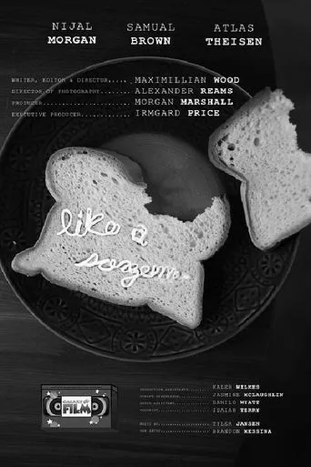 Like A Surgeon movie poster - Entertainment content