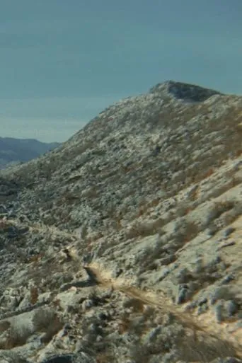 The Road movie poster - Rated 4/10
