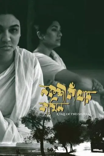 A Tale of Two Sisters movie poster - Entertainment content