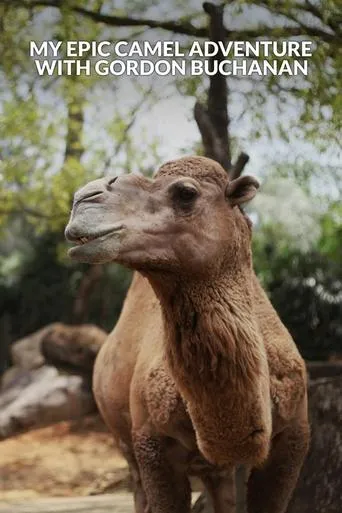 My Epic Camel Adventure With Gordon Buchanan movie poster - Entertainment content