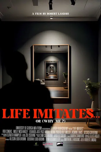 Life Imitates... or (Why Me?) movie poster - Entertainment content