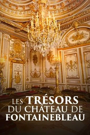 Les trésors du château de Fontainebleau movie poster - Rated 8/10