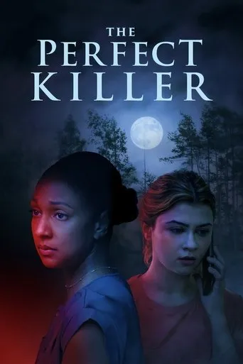 The Perfect Killer movie poster - Rated 6.5/10