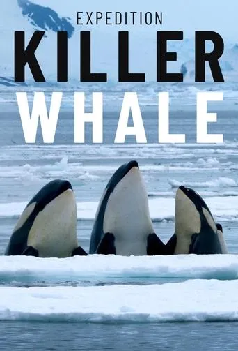 Expedition Killer Whale movie poster - Entertainment content
