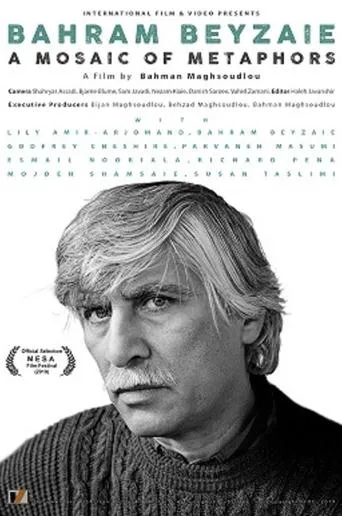 Bahram Beyzaie: A Mosaic of Metaphors movie poster - Entertainment content