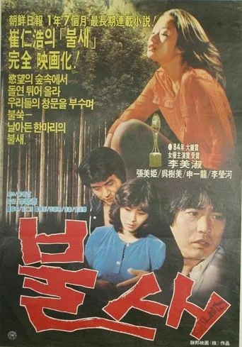 The Bird of Fire movie poster - Entertainment content