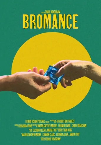 Bromance movie poster - Entertainment content