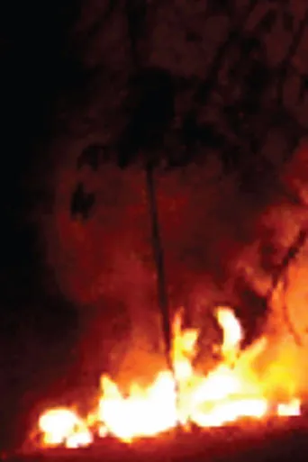 Every Flame Tree is a Burning Island movie poster - Entertainment content