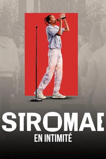 Stromae en intimité movie poster - Rated 7/10