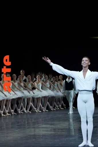 Être noir à l'Opéra movie poster - Entertainment content