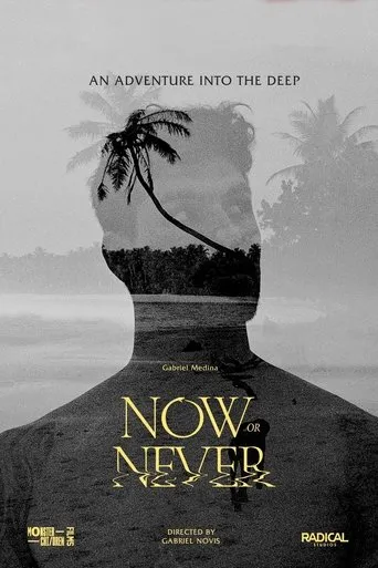 Now or Never movie poster - Entertainment content
