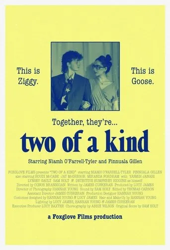 Two of a Kind movie poster - Entertainment content