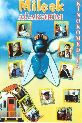 Fly movie poster - Entertainment content