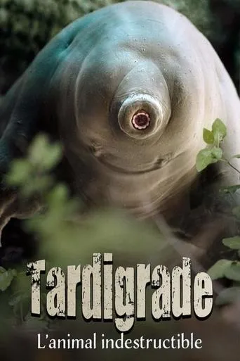 Tardigrade, l'animal indestructible movie poster - Rated 10/10