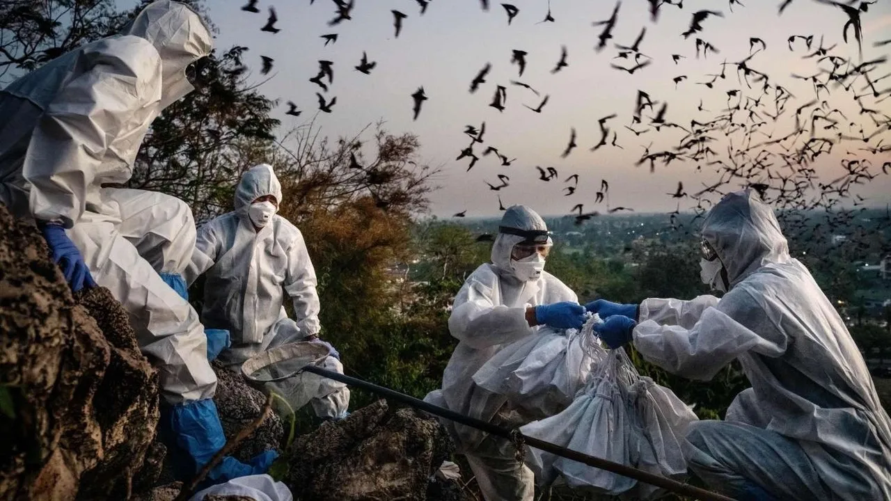 Blame - Bats, Politics and a Planet Out of Balance