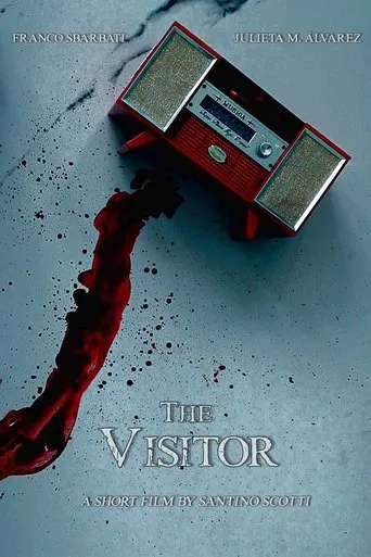 The Visitor movie poster - Entertainment content