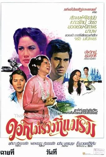 ดอกไม้ร่วงที่แม่ริม movie poster - Entertainment content