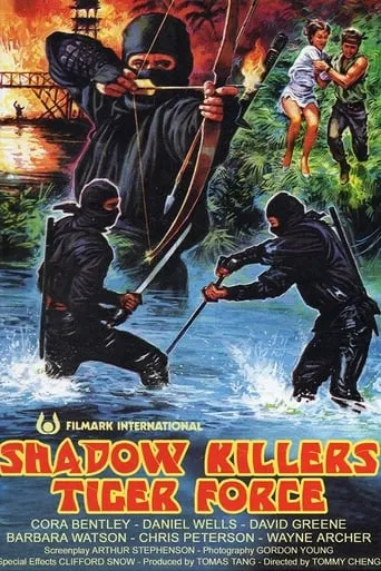 Shadow Killers Tiger Force movie poster - Rated 4.2/10