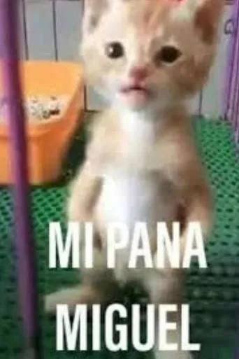 Mi Pana Miguel: La Película movie poster - Rated 9/10