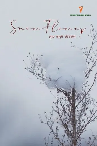 Snow Flower movie poster - Entertainment content