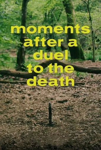 Moments After a Duel to the Death movie poster - Entertainment content