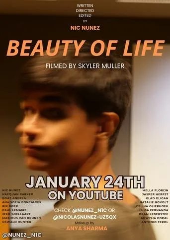 Beauty of Life movie poster - Rated 9/10