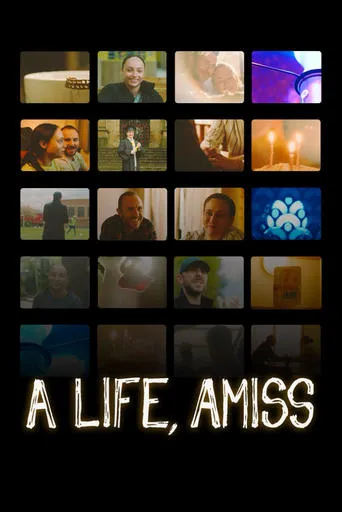 A Life, Amiss movie poster - Entertainment content