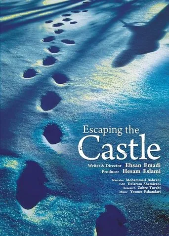 Escaping the Castle movie poster - Entertainment content